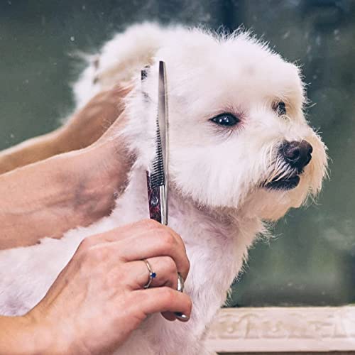 4CR Stainless Steel Safety Round Tip 6 in 1 Professional Dog Grooming Scissors Kit