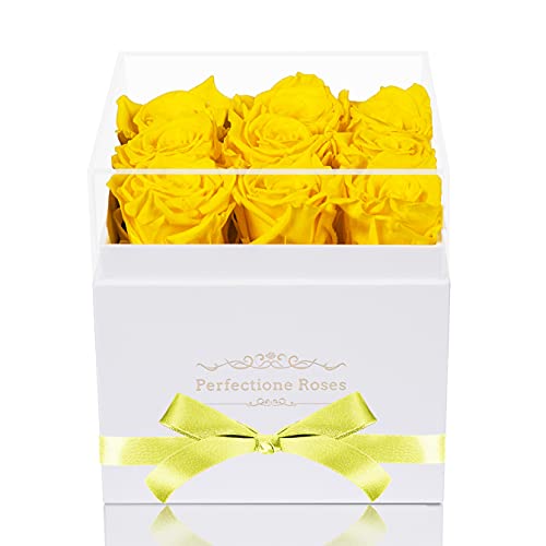 Real Roses Preserved Flowers in a Box, Long-Lasting Rose in White Medium Square Box