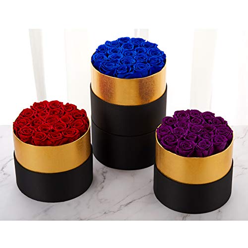 Handmade Preserved Real Roses in a Box That Last a Year Gift for Valentines Day