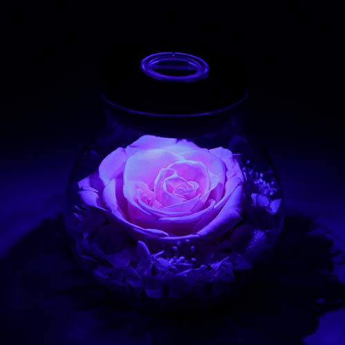 Preserved Real Roses w/  Colorful Mood Light Wishing Bottle