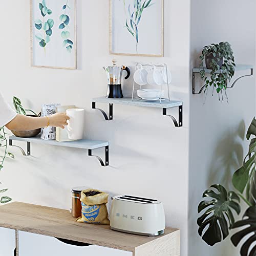 Floating Shelves Wall Mounted Set of 3