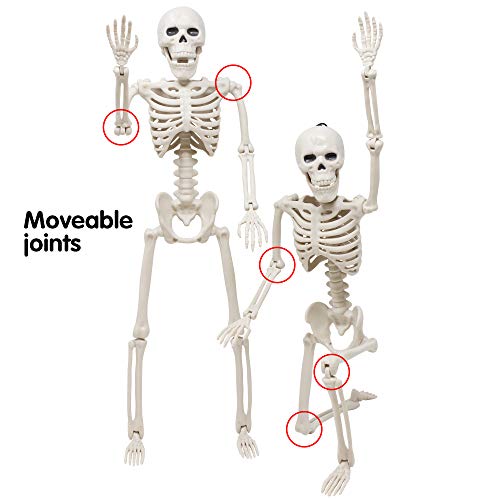 Full Body Posable Joints Skeletons 5 Packs for Halloween Decoration