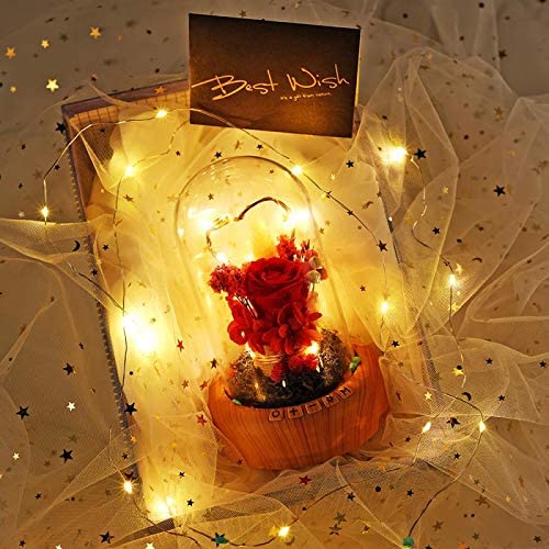 Red Rose Night Light-Real Eternal Rose in Glass Dome, Preserved Rose w/ Bluetooth Speaker