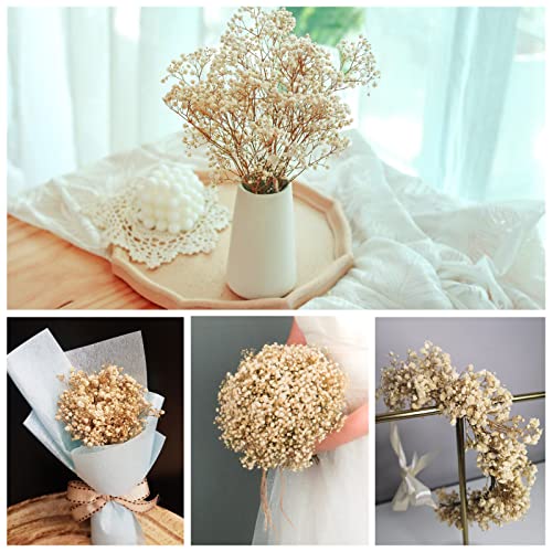 Dried-Babys-Breath-Flowers-Bouquet-17 inch