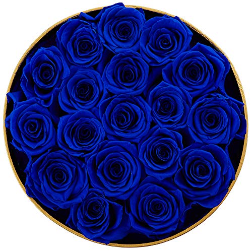 Handmade Preserved Real Roses in a Box That Last a Year Gift for Valentines Day