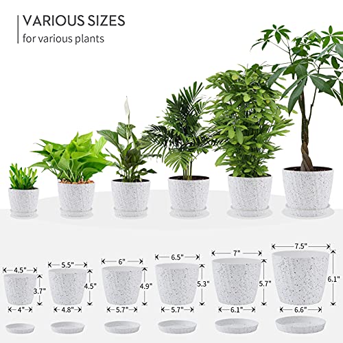 Set of 6 Plastic Planters with Saucer  7.5/7/6.5/6/5.5/4.5 Inch