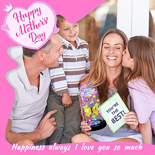 I Love You Mom Galaxy Roses Gifts in Glass Dome for Mothers Day/Birthday