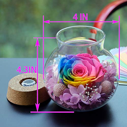 Preserved Real Roses w/  Colorful Mood Light Wishing Bottle