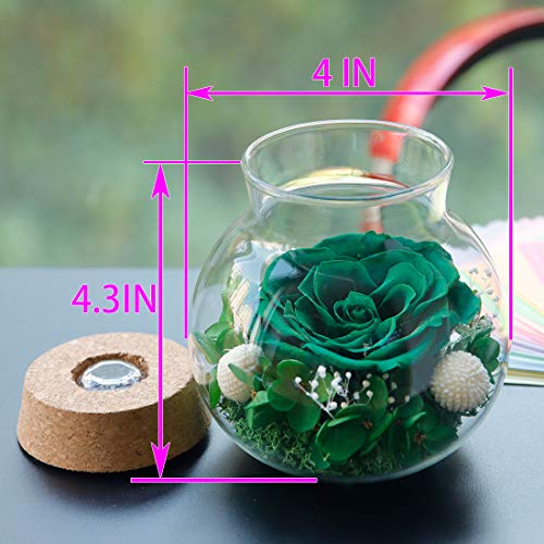 Preserved Real Roses w/  Colorful Mood Light Wishing Bottle