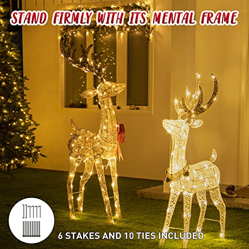 Christmas Lighted Reindeer w/ 70 Warm White Lights