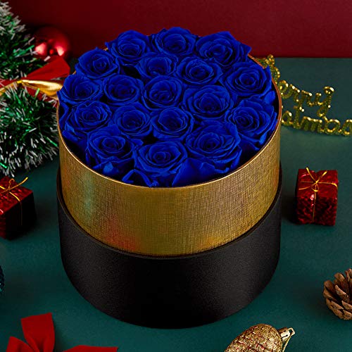 Handmade Preserved Real Roses in a Box That Last a Year Gift for Valentines Day