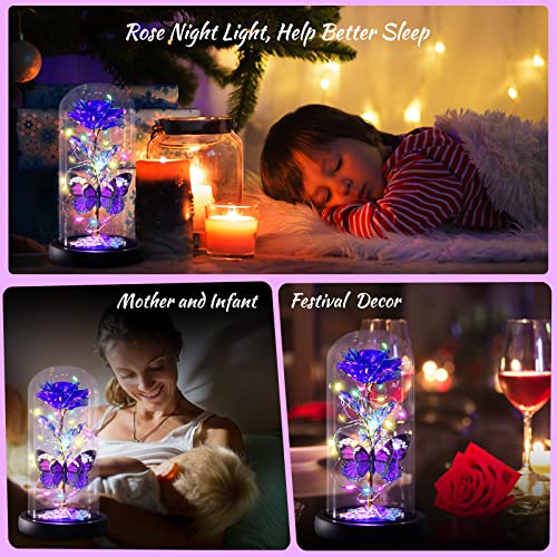 Enchanted Galaxy Light Up Butterfly Rose  Gifts in Glass Dome