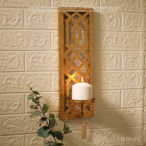 Metal Wall Sconce 16.5 Inch High