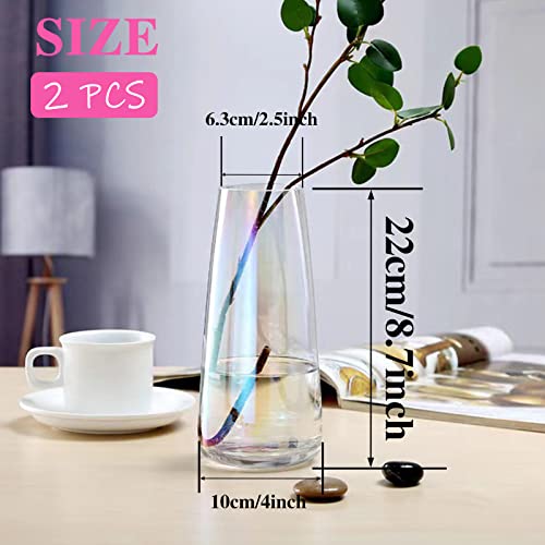 2 Pcs Modern Soda Lime Glass Vase,8.8Inch Irised Crystal Clear Glass Vase,Large Flower Vases for Home,Office