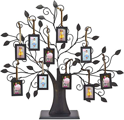 Metal Family Tree Picture Frames w/ 10 Hanging Photo Frames