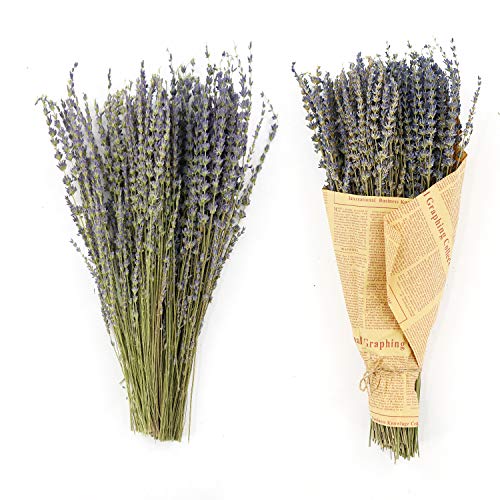 Real Dried Lavender Flowers Bundles 100% Natural Dry for Home Decorations 2 Pack (Purple)