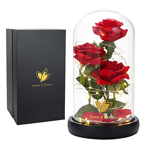 Preserved Rose in Dome for Valentines Day Gift