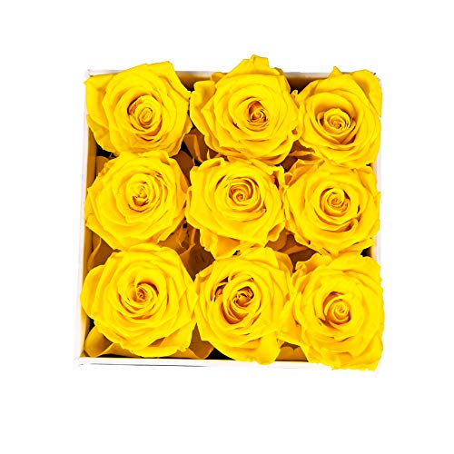 Real Roses Preserved Flowers in a Box, Long-Lasting Rose in White Medium Square Box