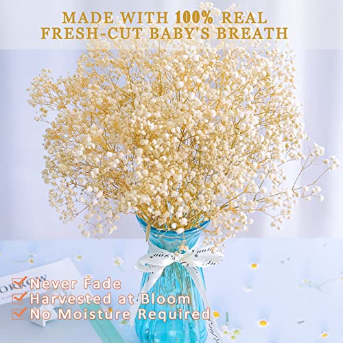 Dried-Babys-Breath-Flowers-Bouquet-17 inch