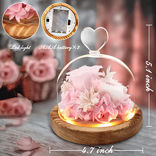 Preserved Light Up Flower Rose Gift for Women