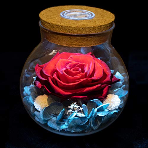 Preserved Real Roses w/  Colorful Mood Light Wishing Bottle