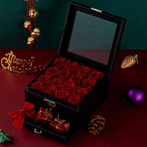 Preserved Real Rose in a Box Never Withered Roses That Last 365 Days (16 Red Roses)