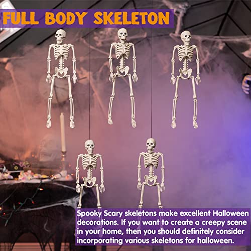 Full Body Posable Joints Skeletons 5 Packs for Halloween Decoration