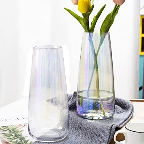 2 Pcs Modern Soda Lime Glass Vase,8.8Inch Irised Crystal Clear Glass Vase,Large Flower Vases for Home,Office