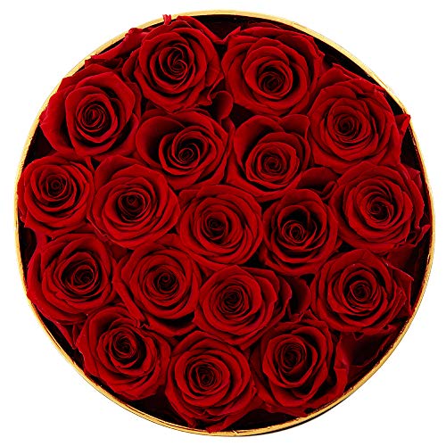 Handmade Preserved Real Roses in a Box That Last a Year Gift for Valentines Day