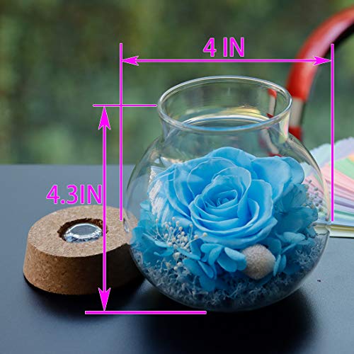 Preserved Real Roses w/  Colorful Mood Light Wishing Bottle