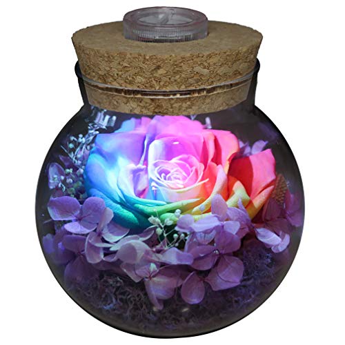 Preserved Real Roses w/  Colorful Mood Light Wishing Bottle