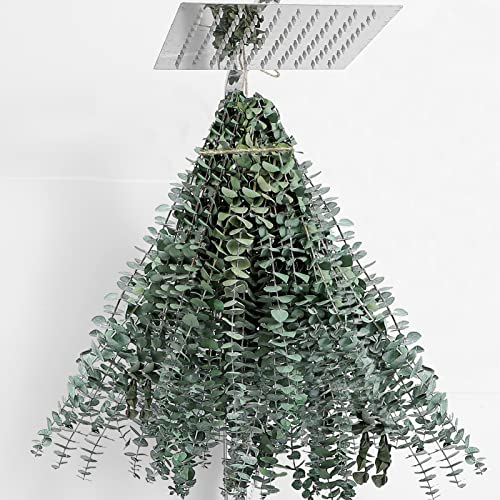 10 Pcs Dried Eucalyptus Stems 17" Real Eucalyptus 100% Made from Fresh Eucalyptus Leaves Artificial Eucalyptus