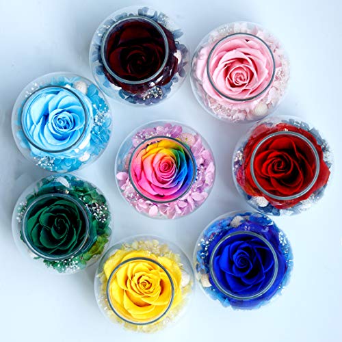 Preserved Real Roses w/  Colorful Mood Light Wishing Bottle