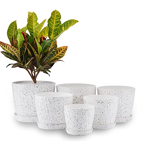 Set of 6 Plastic Planters with Saucer  7.5/7/6.5/6/5.5/4.5 Inch