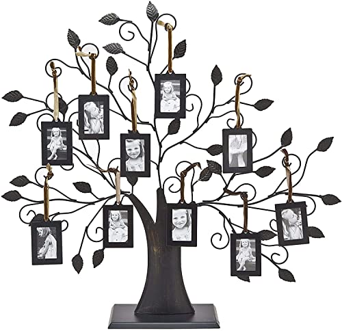 Metal Family Tree Picture Frames w/ 10 Hanging Photo Frames