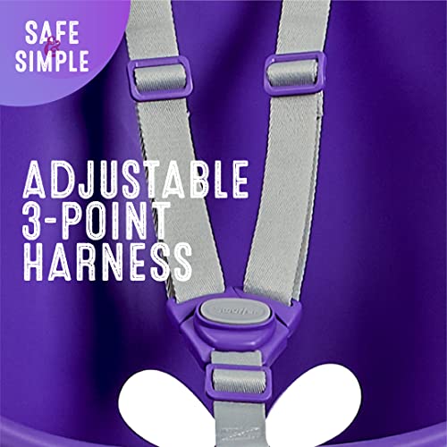 Your Child's First Swing w/ Blister Free Rope & 3-Point Safety Harness