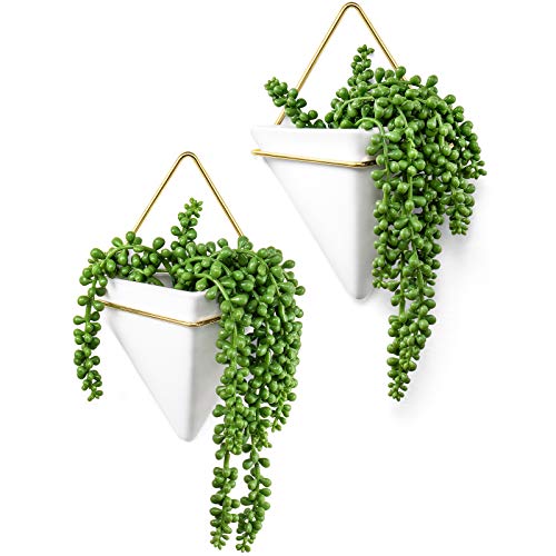 2 Pack  Hanging Vase w/ Artificial Succulent Plants