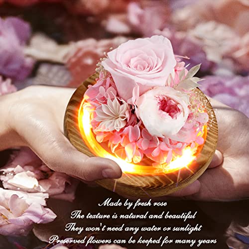 Preserved Light Up Flower Rose Gift for Women