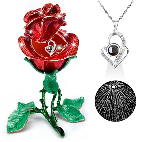 Gifts for Mom - Preserved Rose & Sterling Silver Necklace