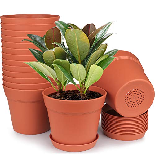 15 Pack 6 inch Plastic Planters w/ Multiple Drainage Holes & Tray