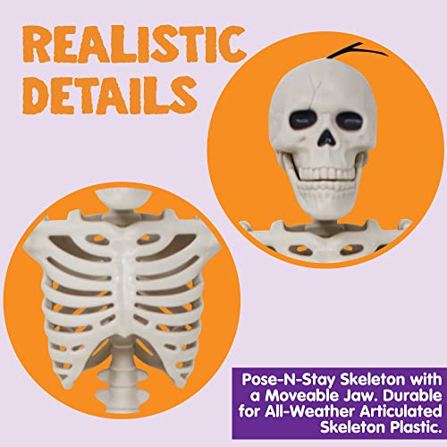 Full Body Posable Joints Skeletons 5 Packs for Halloween Decoration