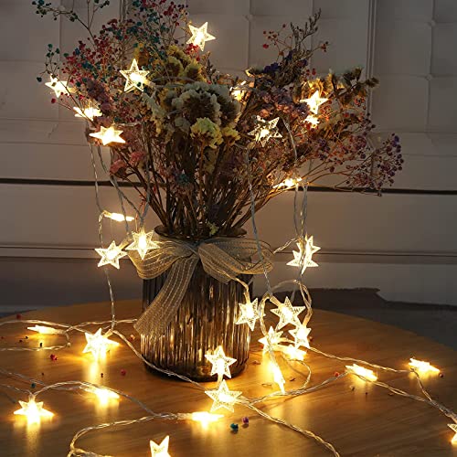 19.6 ft 40 LED Fairy Lights Battery Operated Christmas Lights