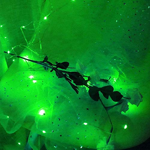 Green USB Powered Fairy Lights Curtain String, 8 Modes Twinkle (300 LEDS 9.8x9.8Ft)