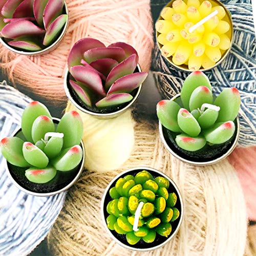 12Pcs Cute Handmade Artificial Succulents Tealight Candles Set