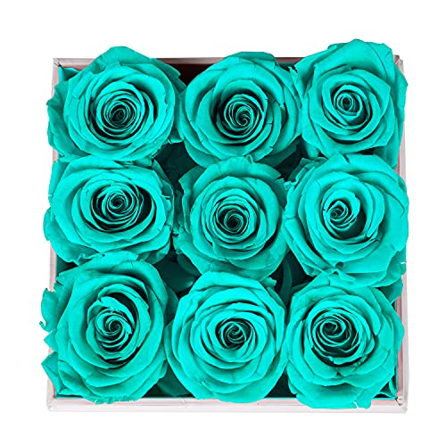 Real Roses Preserved Flowers in a Box, Long-Lasting Rose in White Medium Square Box