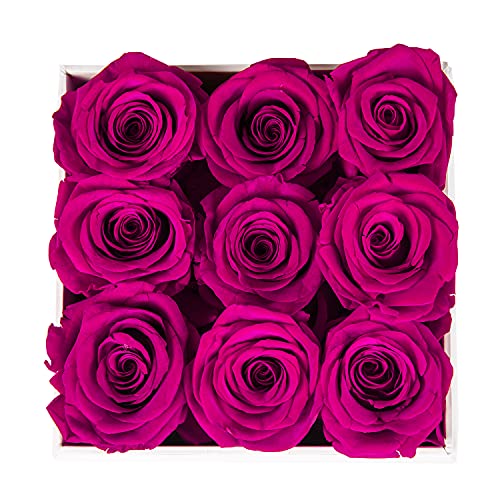 Real Roses Preserved Flowers in a Box, Long-Lasting Rose in White Medium Square Box