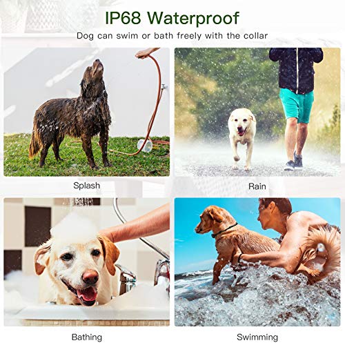 Dog Training Collar w/ 2600Ft Remote, Electronic  w/ Beep, Vibration, Shock, Light & Keypad Lock Mode