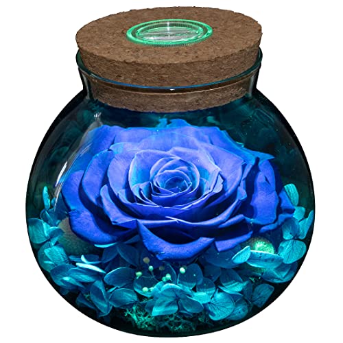 Preserved Real Roses w/  Colorful Mood Light Wishing Bottle