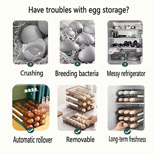 Automatic Rolling Egg Box, Slide Design for Easy Egg Retrieval