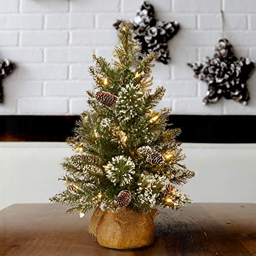 2 Ft Pre-lit Artificial Mini Christmas Tree